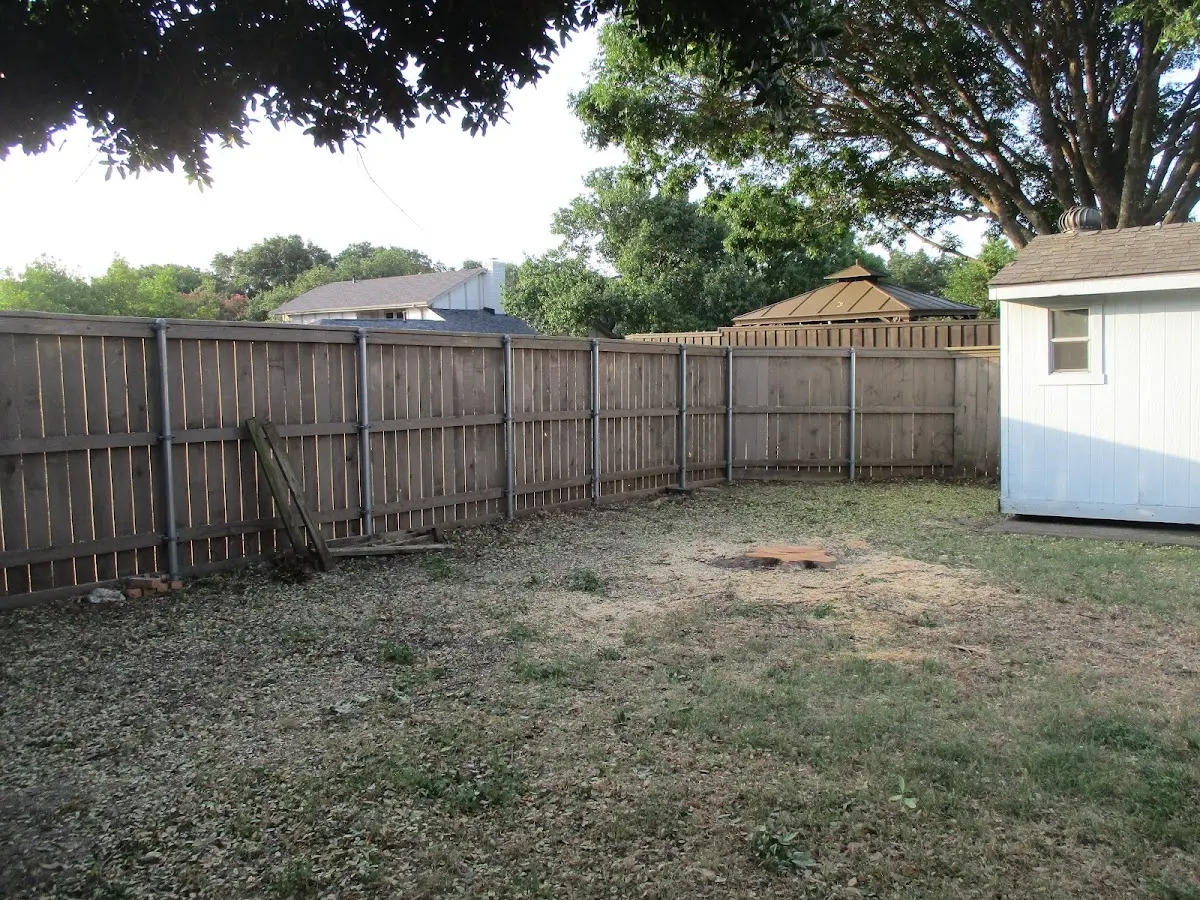 Cleared yard after professional tree removal in Dahlgren